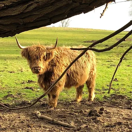 Refugium Raabenhorst Im Am Haff *