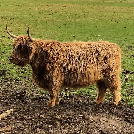 Refugium Raabenhorst Im Am Haff Stolpe auf Usedom