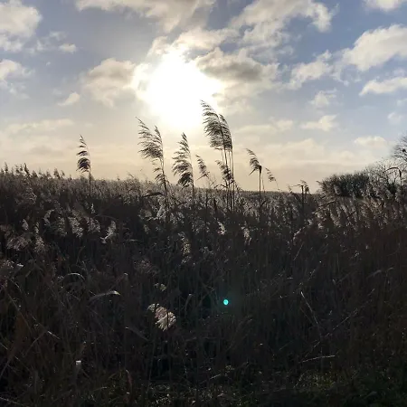 Refugium Raabenhorst Im Am Haff Stolpe auf Usedom